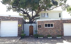Bushmansriver Tree-House